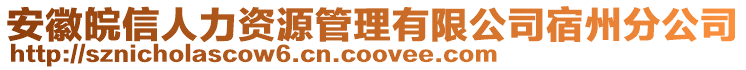 安徽皖信人力資源管理有限公司宿州分公司