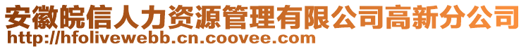 安徽皖信人力資源管理有限公司高新分公司