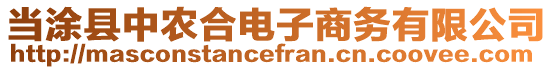 當涂縣中農合電子商務有限公司