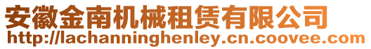 安徽金南機(jī)械租賃有限公司