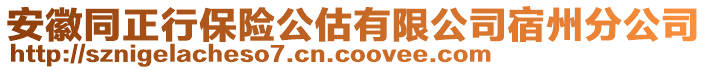 安徽同正行保險公估有限公司宿州分公司