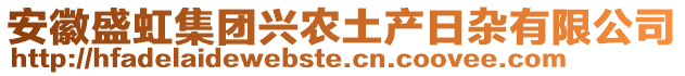 安徽盛虹集團興農土產日雜有限公司