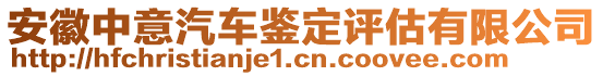 安徽中意汽車(chē)鑒定評(píng)估有限公司