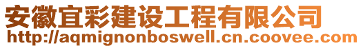 安徽宜彩建设工程有限公司