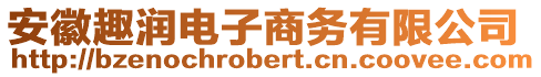 安徽趣润电子商务有限公司