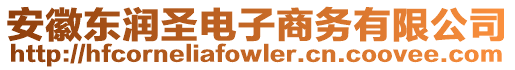 安徽東潤圣電子商務(wù)有限公司