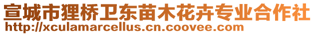 宣城市貍橋衛(wèi)東苗木花卉專業(yè)合作社