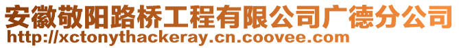 安徽敬陽(yáng)路橋工程有限公司廣德分公司