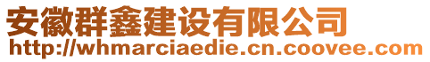 安徽群鑫建設(shè)有限公司