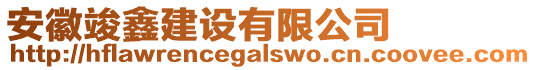 安徽竣鑫建設(shè)有限公司