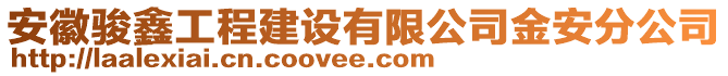 安徽駿鑫工程建設(shè)有限公司金安分公司