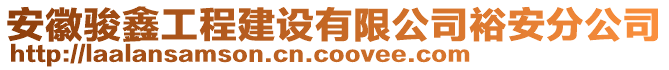 安徽駿鑫工程建設(shè)有限公司裕安分公司