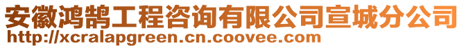 安徽鴻鵠工程咨詢有限公司宣城分公司