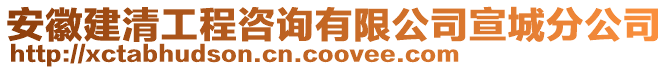 安徽建清工程咨詢有限公司宣城分公司