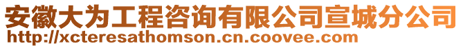 安徽大為工程咨詢有限公司宣城分公司