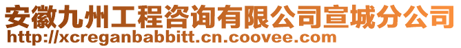 安徽九州工程咨詢有限公司宣城分公司