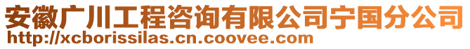 安徽廣川工程咨詢有限公司寧國分公司