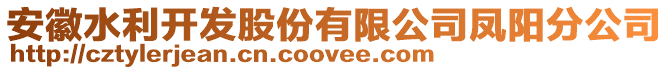 安徽水利開發(fā)股份有限公司鳳陽分公司