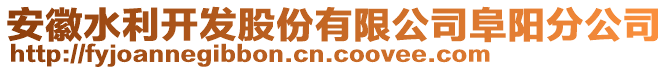 安徽水利開發(fā)股份有限公司阜陽分公司