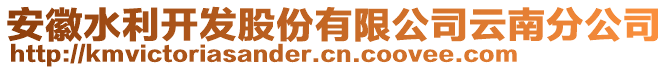 安徽水利開發(fā)股份有限公司云南分公司