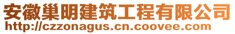 安徽巢明建筑工程有限公司