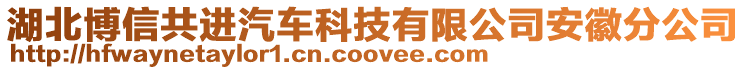 湖北博信共進汽車科技有限公司安徽分公司