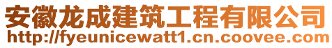 安徽龍成建筑工程有限公司