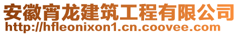 安徽宵龍建筑工程有限公司