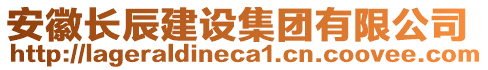 安徽長(zhǎng)辰建設(shè)集團(tuán)有限公司