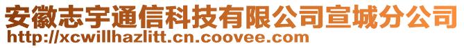 安徽志宇通信科技有限公司宣城分公司