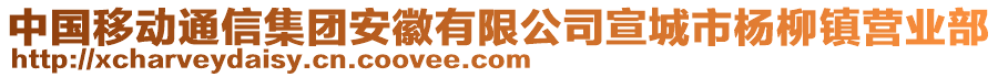 中國移動通信集團安徽有限公司宣城市楊柳鎮(zhèn)營業(yè)部