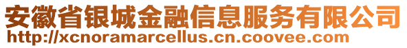 安徽省銀城金融信息服務(wù)有限公司