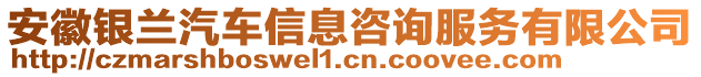 安徽銀蘭汽車信息咨詢服務(wù)有限公司