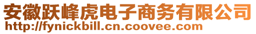 安徽躍峰虎電子商務有限公司