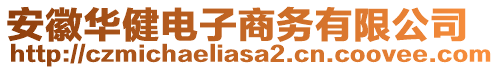 安徽華健電子商務有限公司