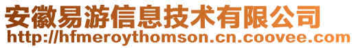 安徽易游信息技術(shù)有限公司