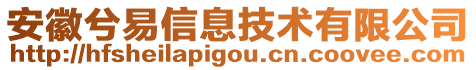 安徽兮易信息技術(shù)有限公司