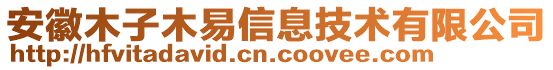 安徽木子木易信息技術(shù)有限公司