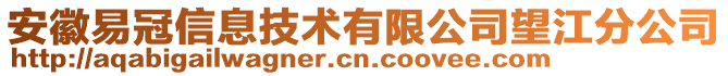 安徽易冠信息技術(shù)有限公司望江分公司