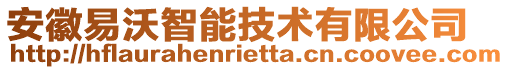 安徽易沃智能技術(shù)有限公司