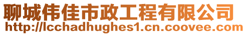 聊城偉佳市政工程有限公司