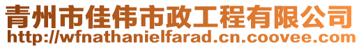 青州市佳偉市政工程有限公司