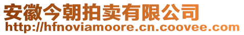 安徽今朝拍賣有限公司