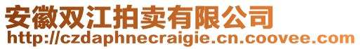 安徽雙江拍賣有限公司