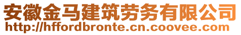 安徽金馬建筑勞務(wù)有限公司