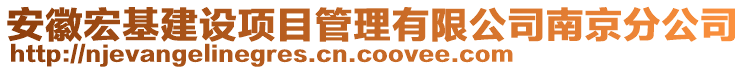 安徽宏基建設(shè)項(xiàng)目管理有限公司南京分公司