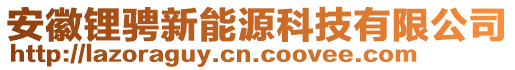 安徽鋰騁新能源科技有限公司