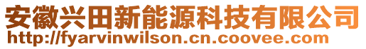 安徽興田新能源科技有限公司