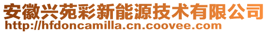 安徽興苑彩新能源技術(shù)有限公司