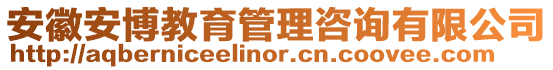 安徽安博教育管理咨詢有限公司